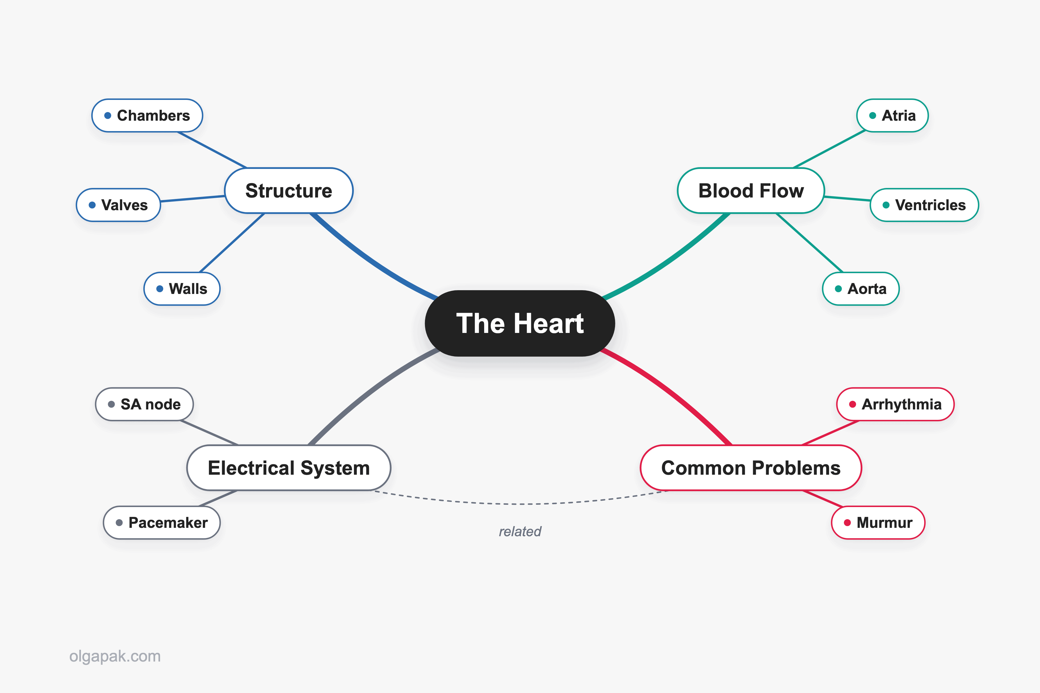 Mind map of the human heart: central topic with four color-coded branches and keyword sub-branches